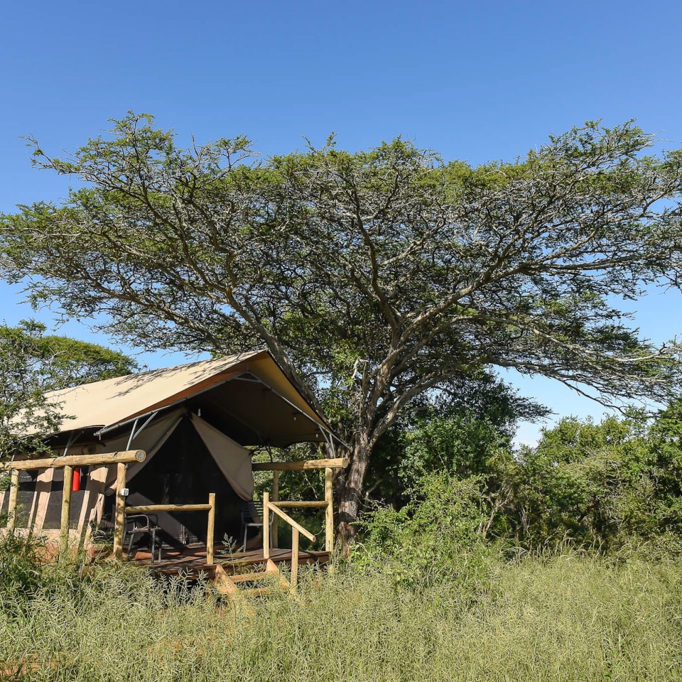 Highlights von Südafrika